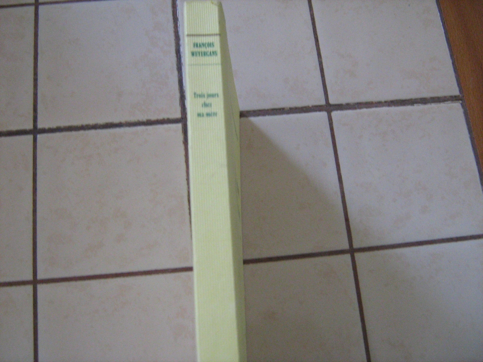 trois jours chez ma mère – photo 2